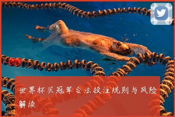 世界杯买冠军合法投注规则与风险解读