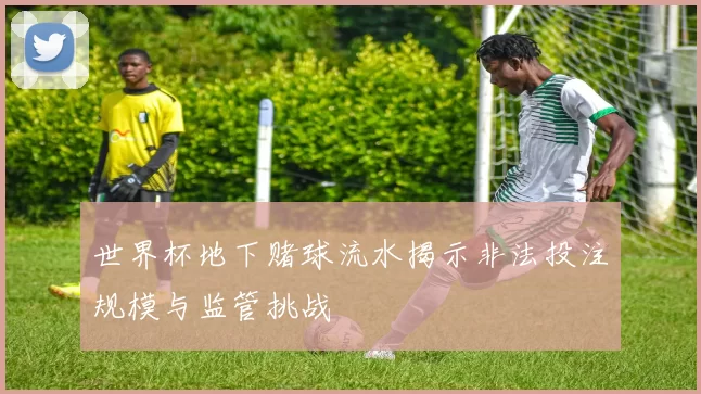 世界杯地下赌球流水揭示非法投注规模与监管挑战